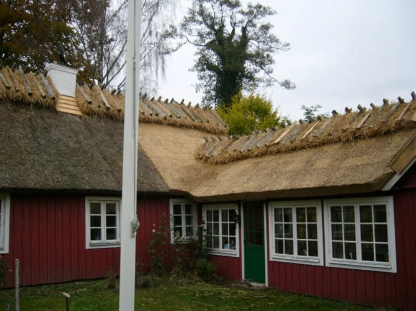 Färdigt vasstak på hus