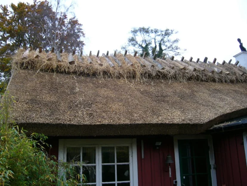 Vasstak på rött hus