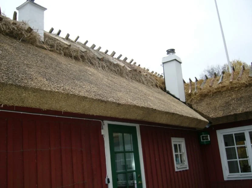 Fakta om vasstak – hållbart och miljövänligt